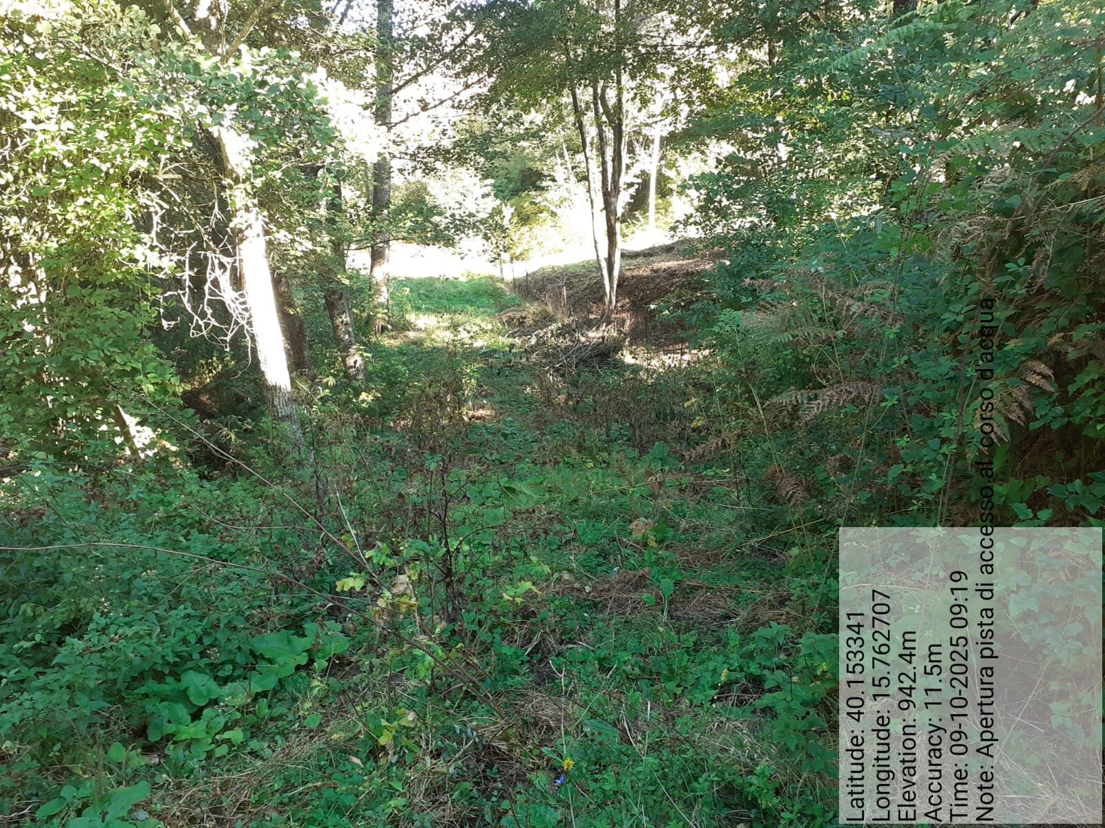 Galleria Fotografica Immagine