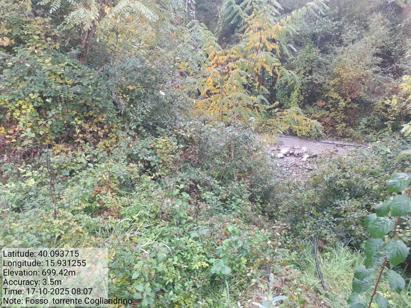 Galleria Fotografica Immagine