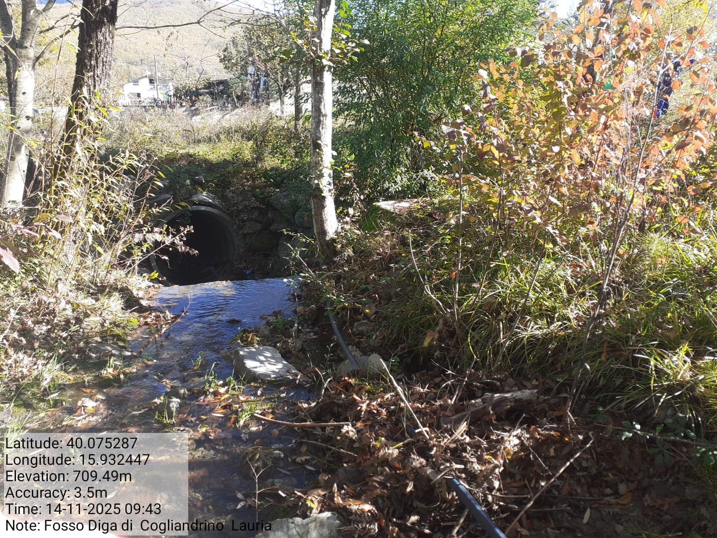 Galleria Fotografica Immagine