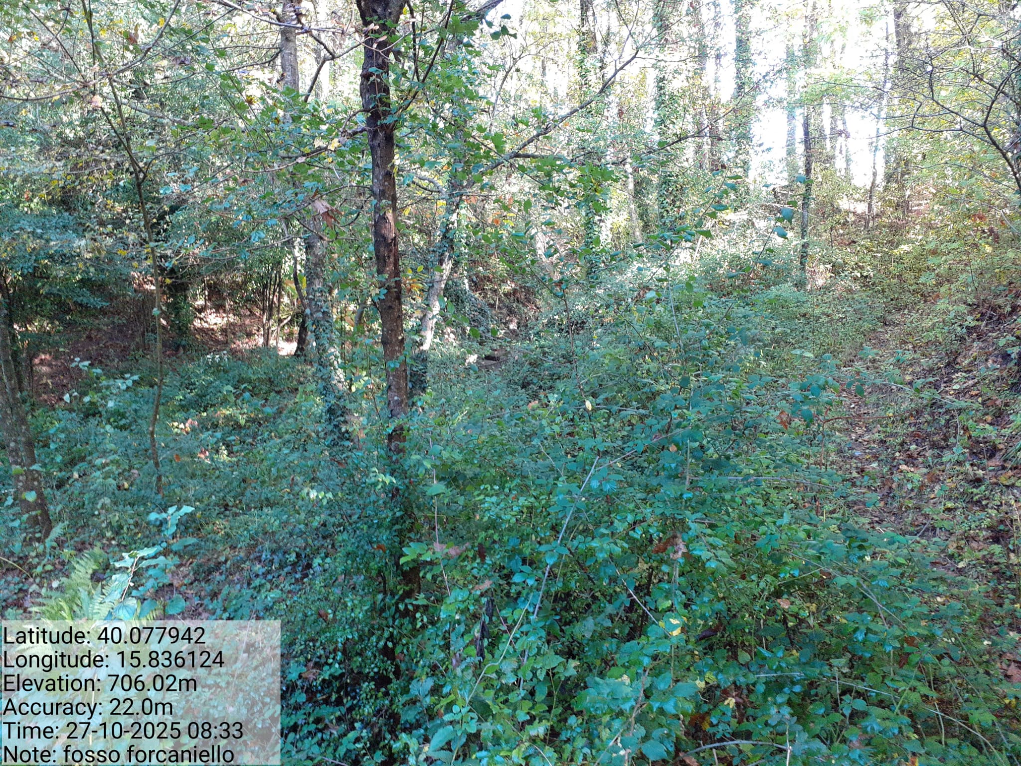 Galleria Fotografica Immagine