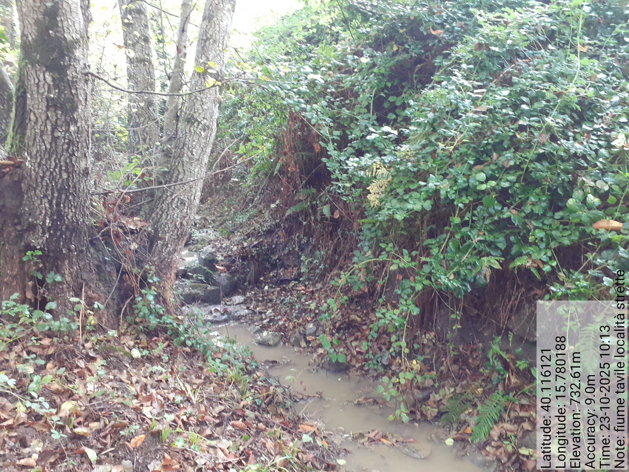 Galleria Fotografica Immagine