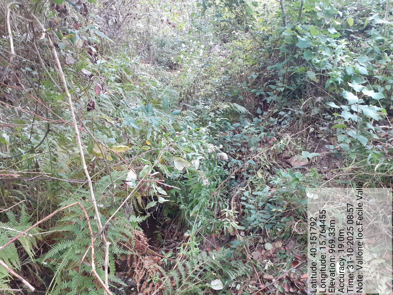 Galleria Fotografica Immagine