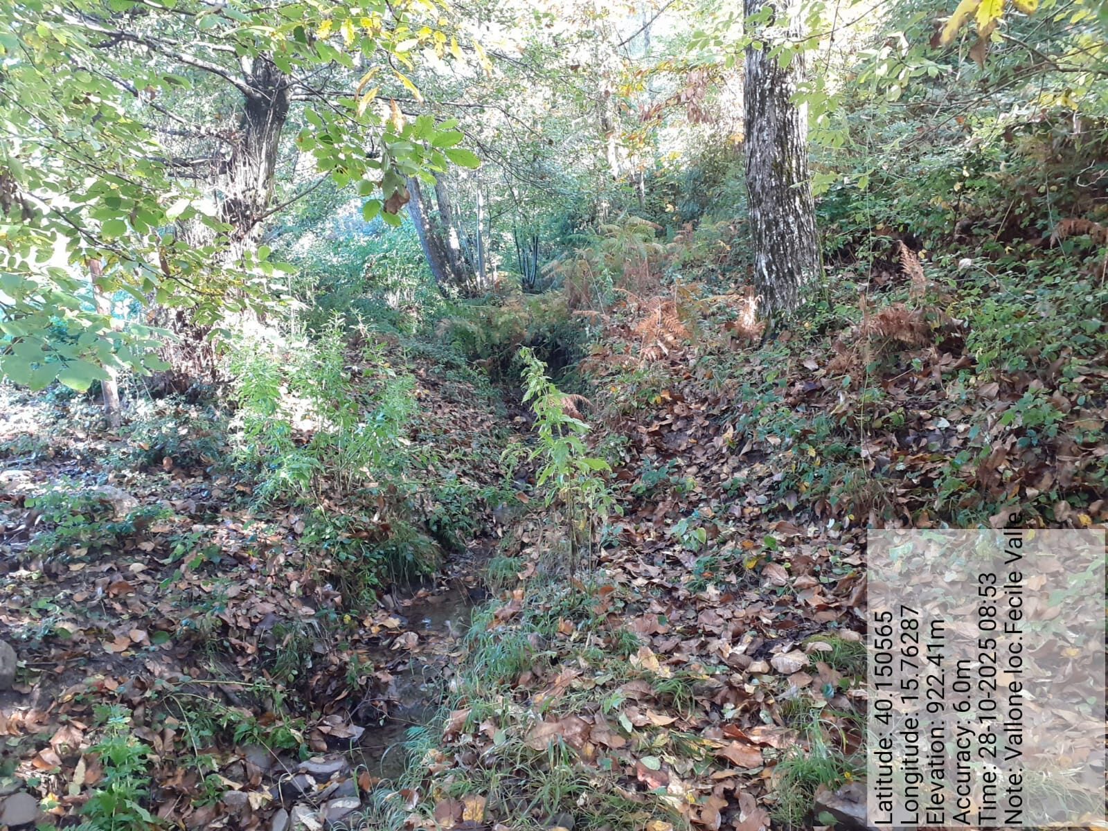 Galleria Fotografica Immagine