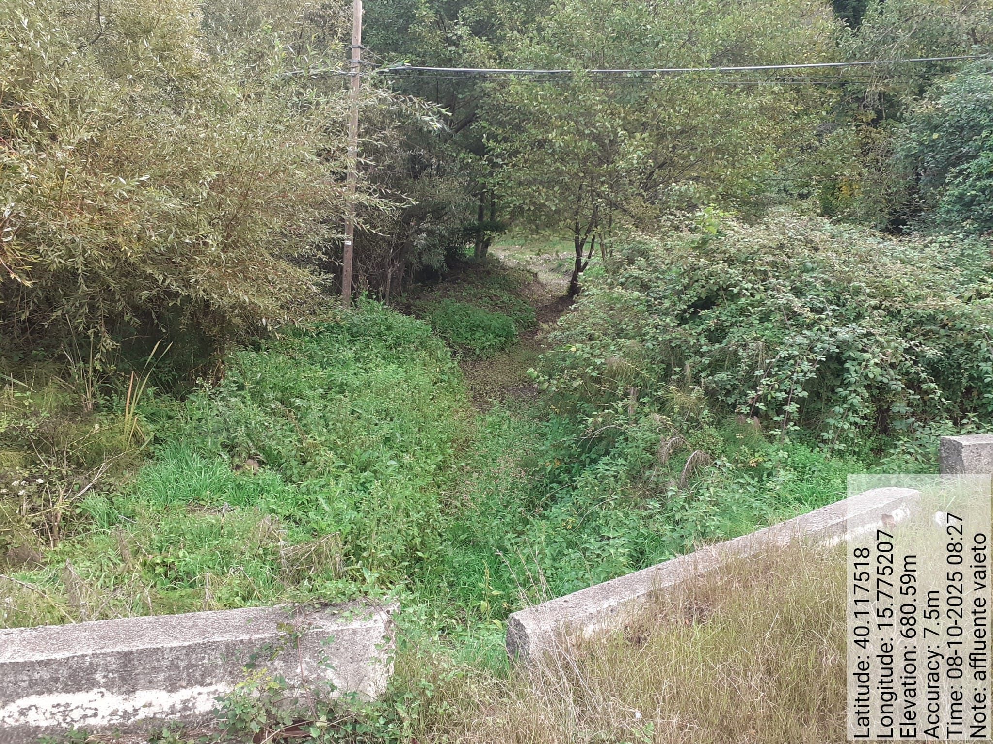 Galleria Fotografica Immagine