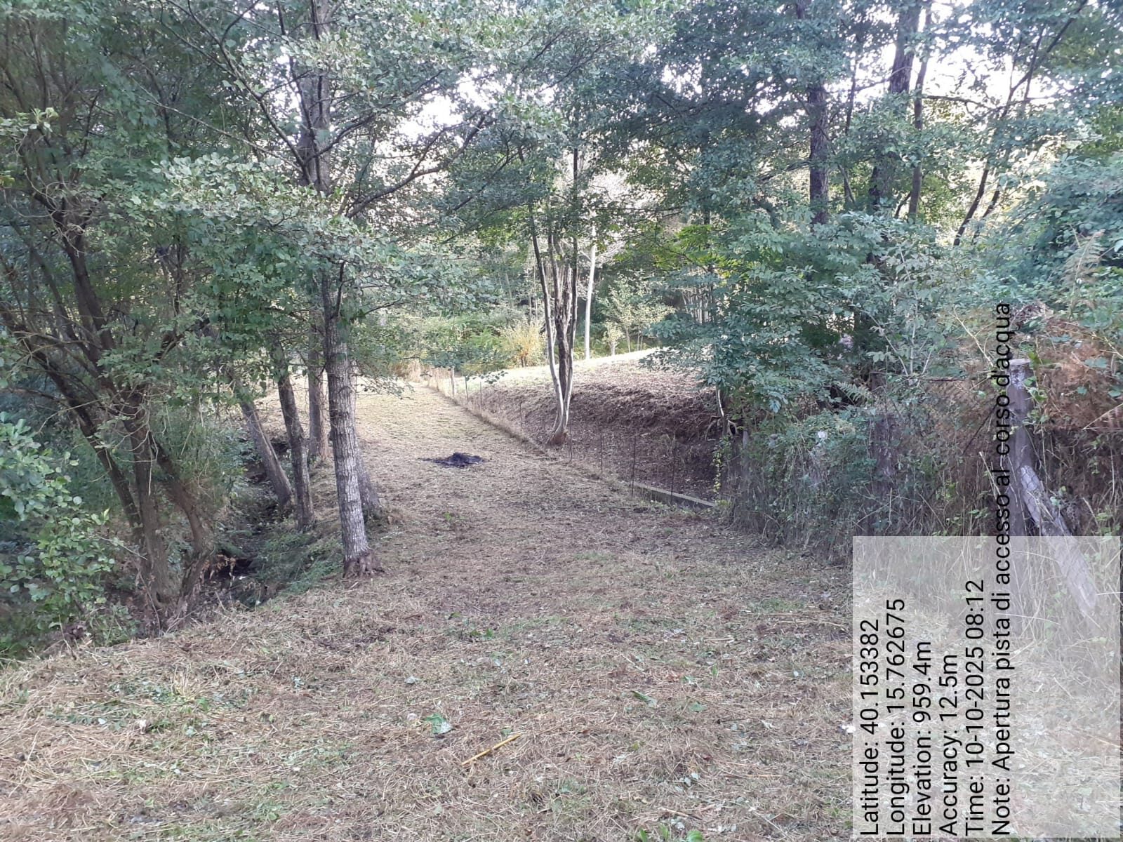 Galleria Fotografica Immagine