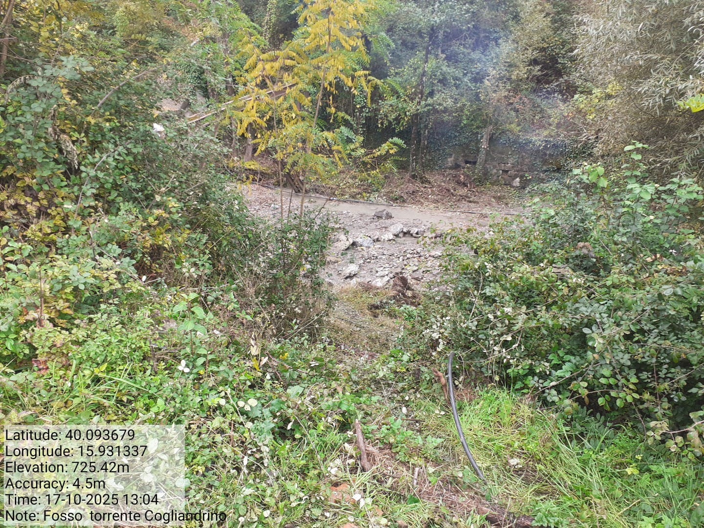 Galleria Fotografica Immagine