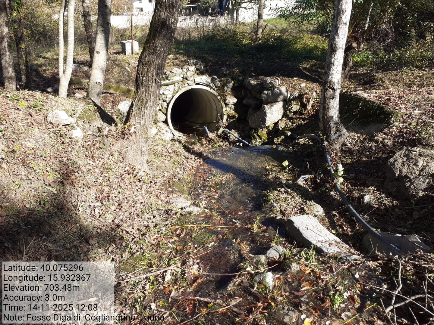 Galleria Fotografica Immagine