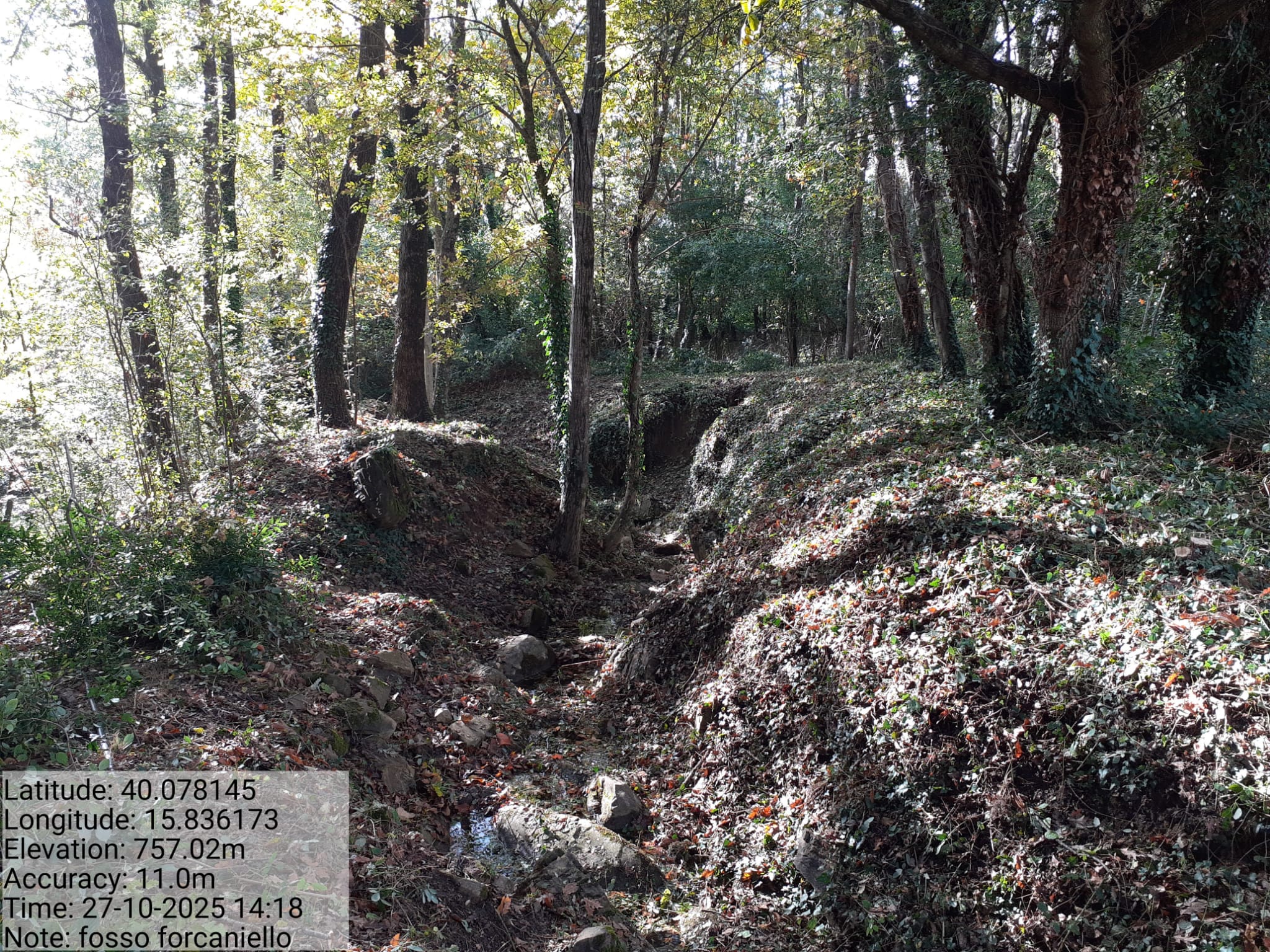 Galleria Fotografica Immagine