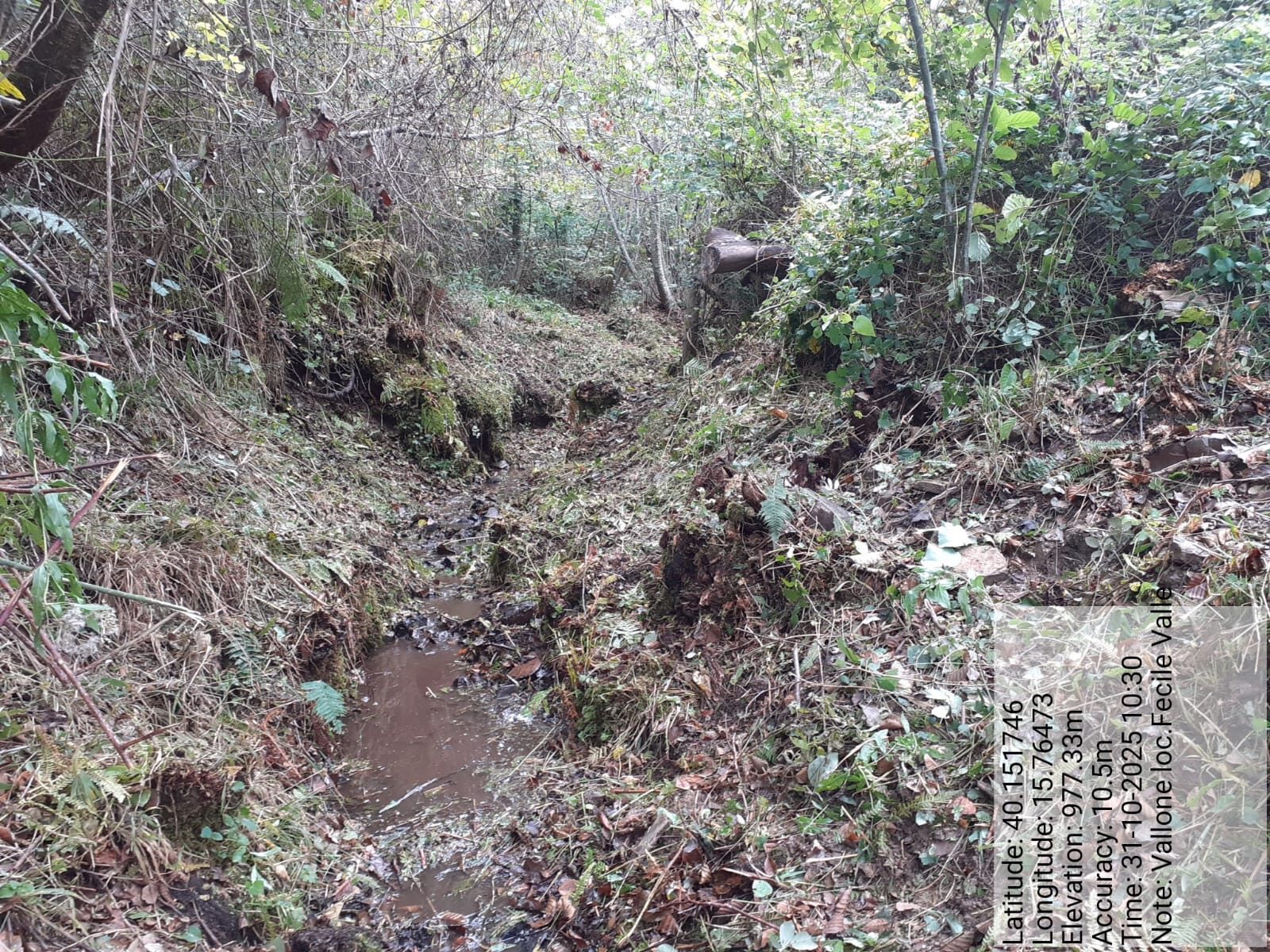 Galleria Fotografica Immagine