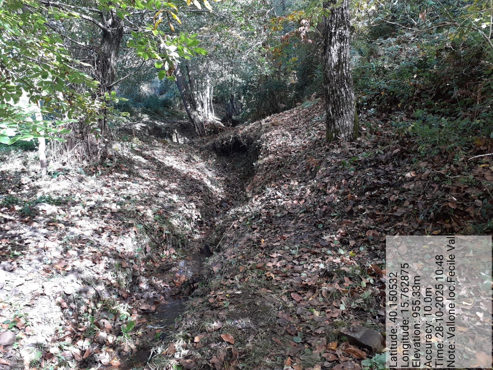 Galleria Fotografica Immagine