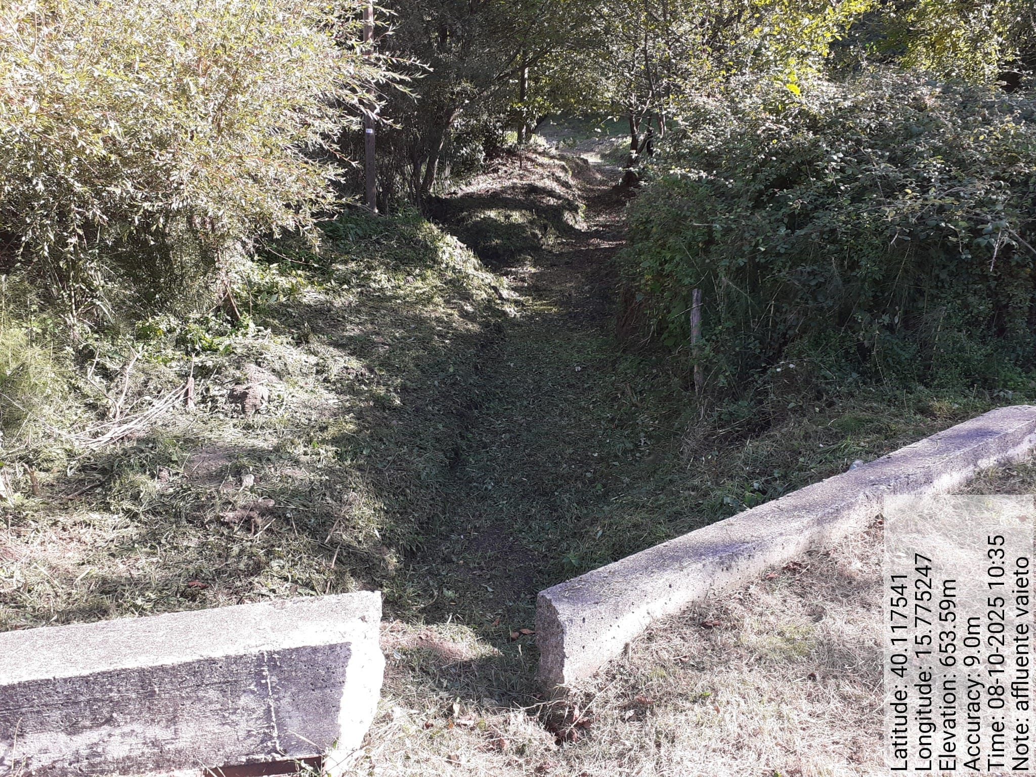 Galleria Fotografica Immagine