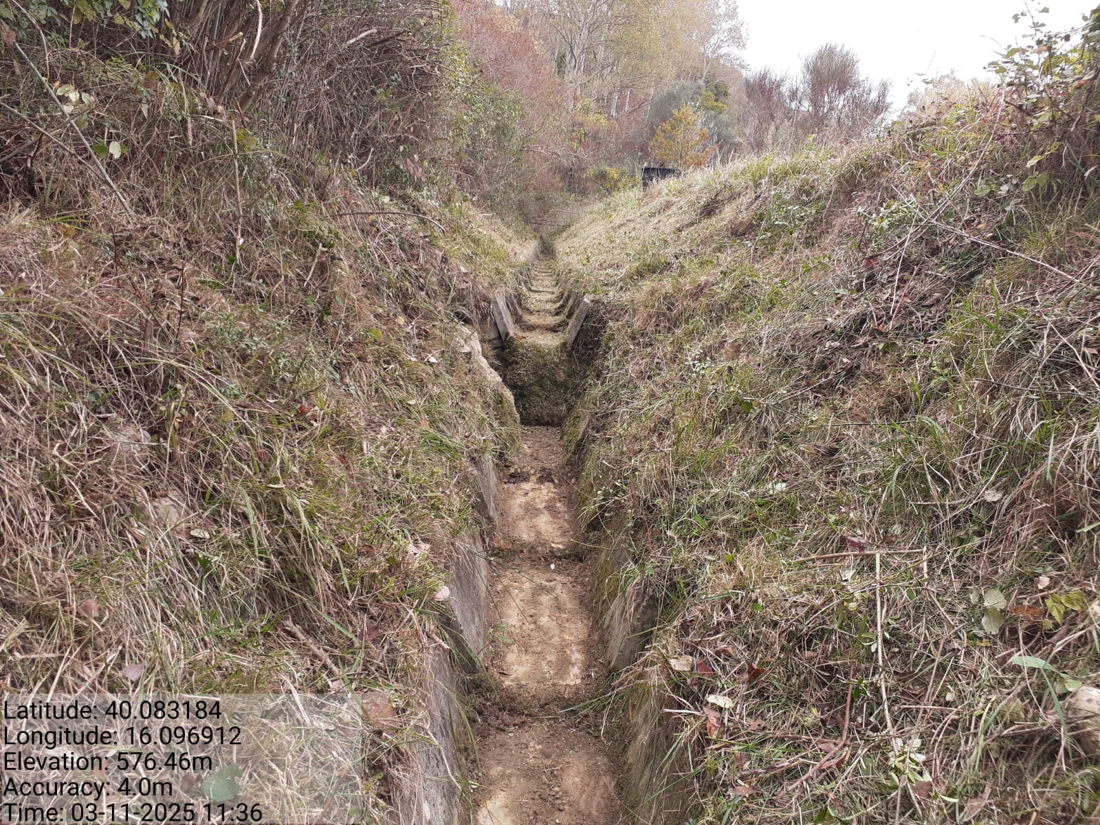 Galleria Fotografica Immagine