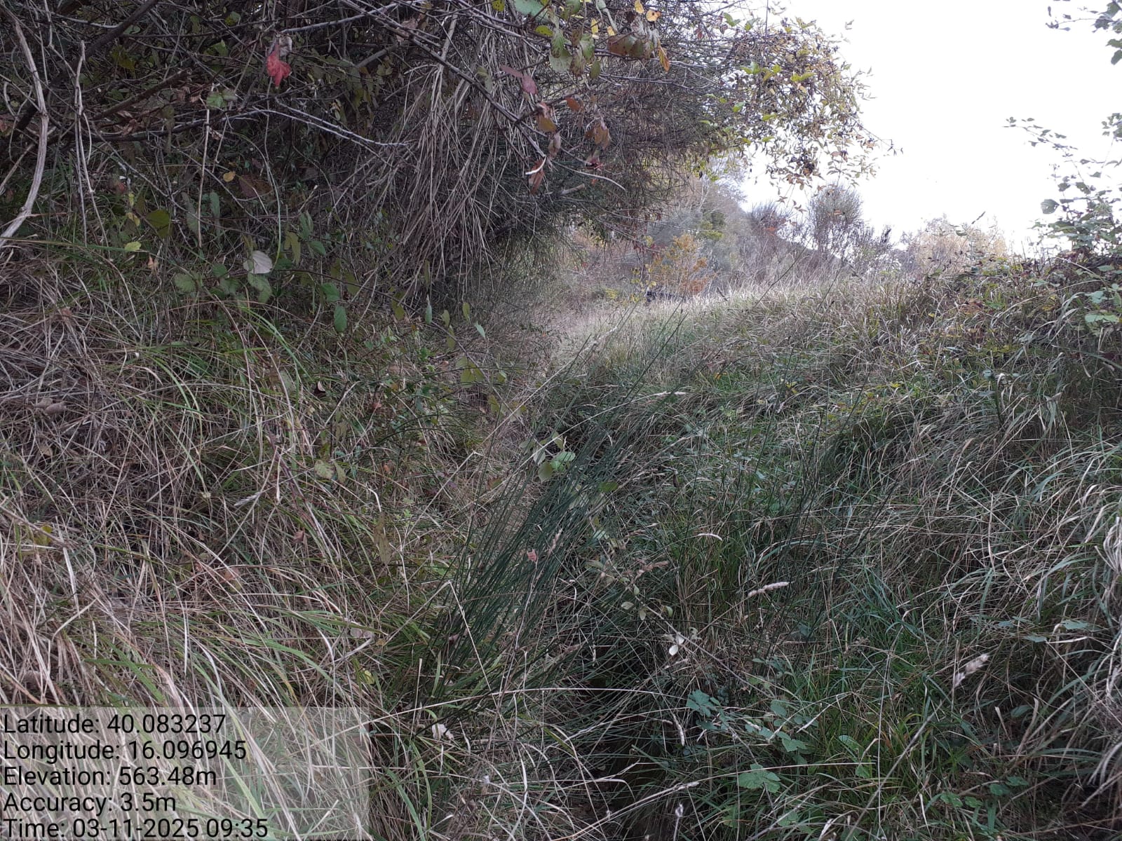 Galleria Fotografica Immagine