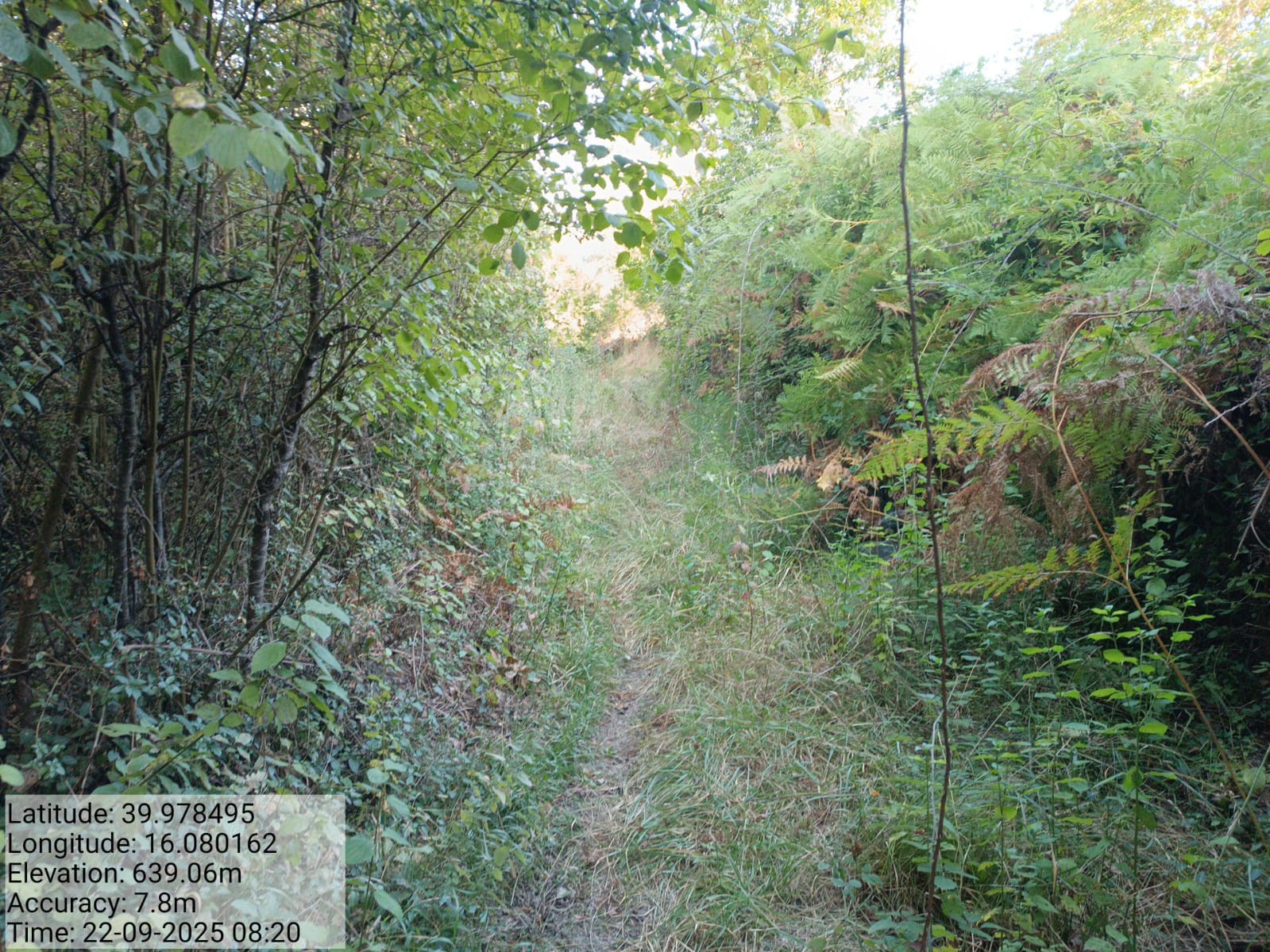 Galleria Fotografica Immagine