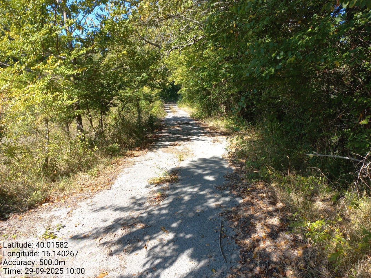 Galleria Fotografica Immagine