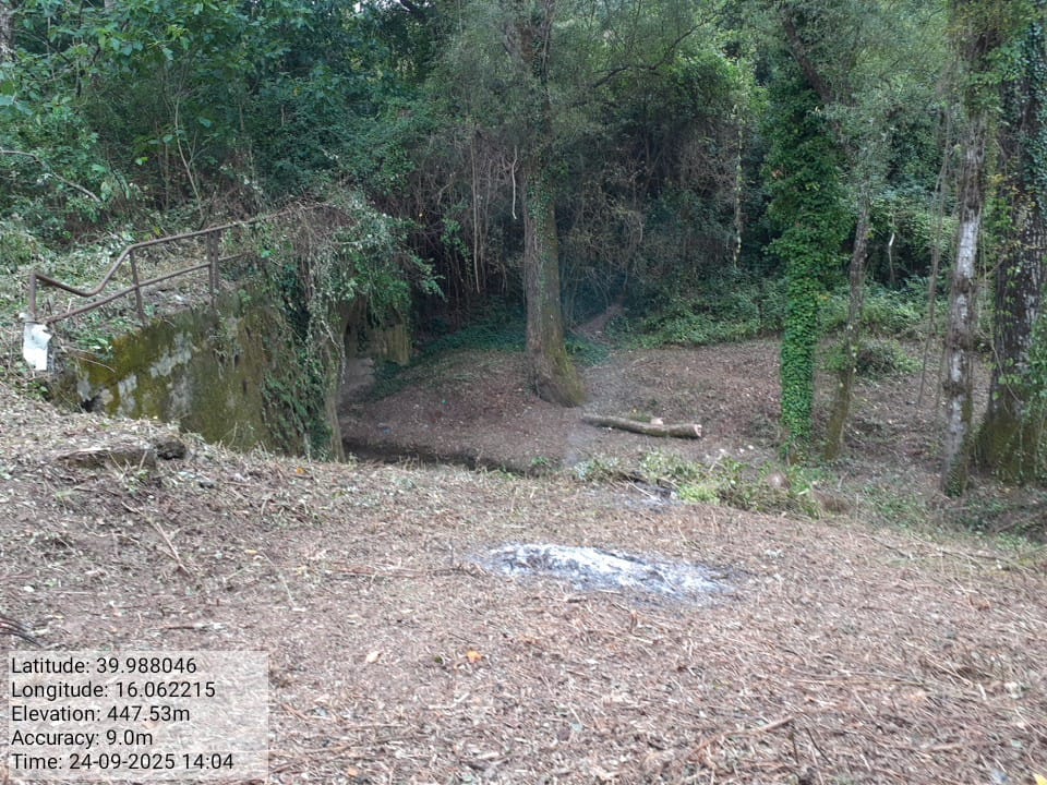 Galleria Fotografica Immagine