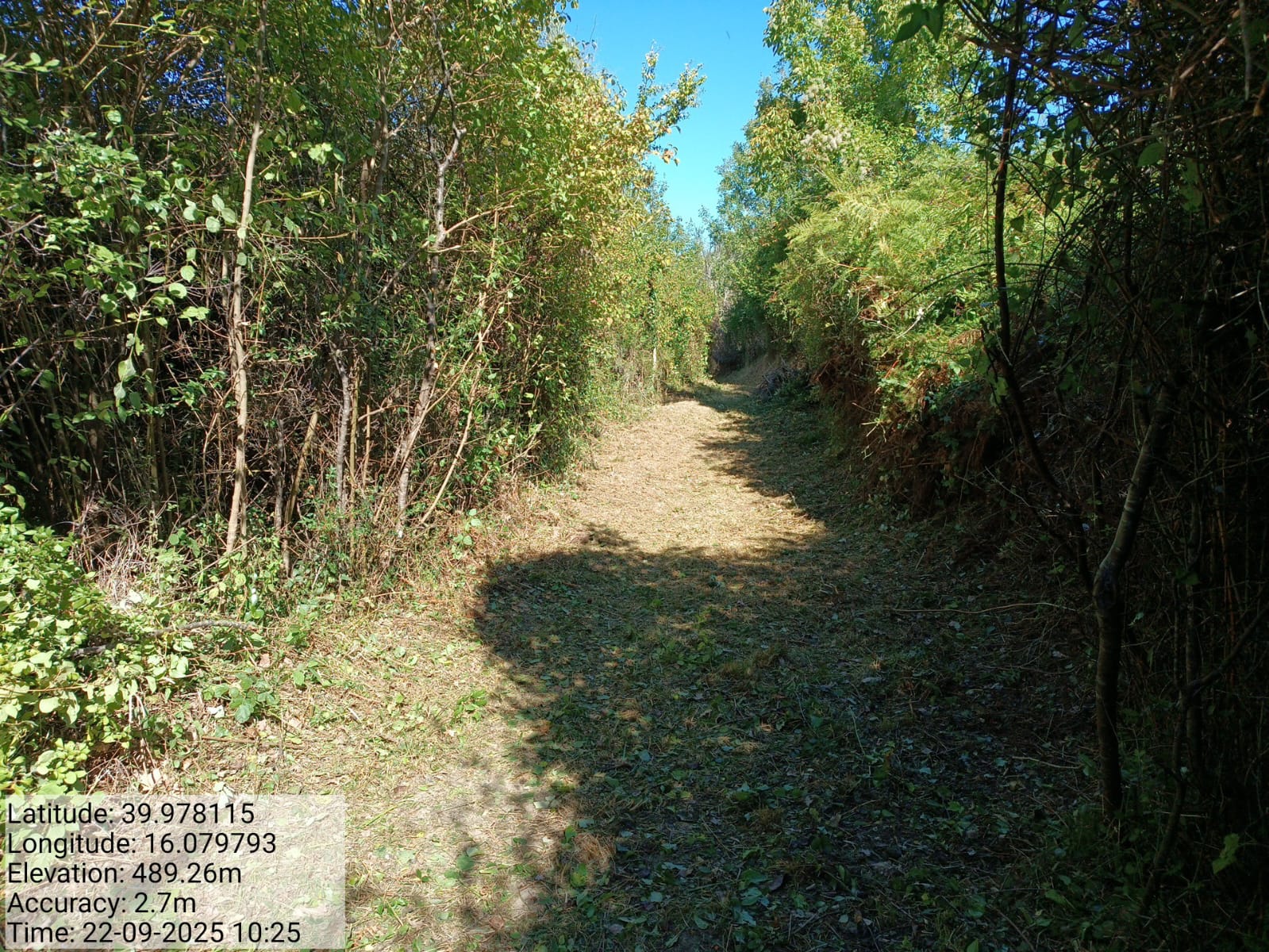 Galleria Fotografica Immagine