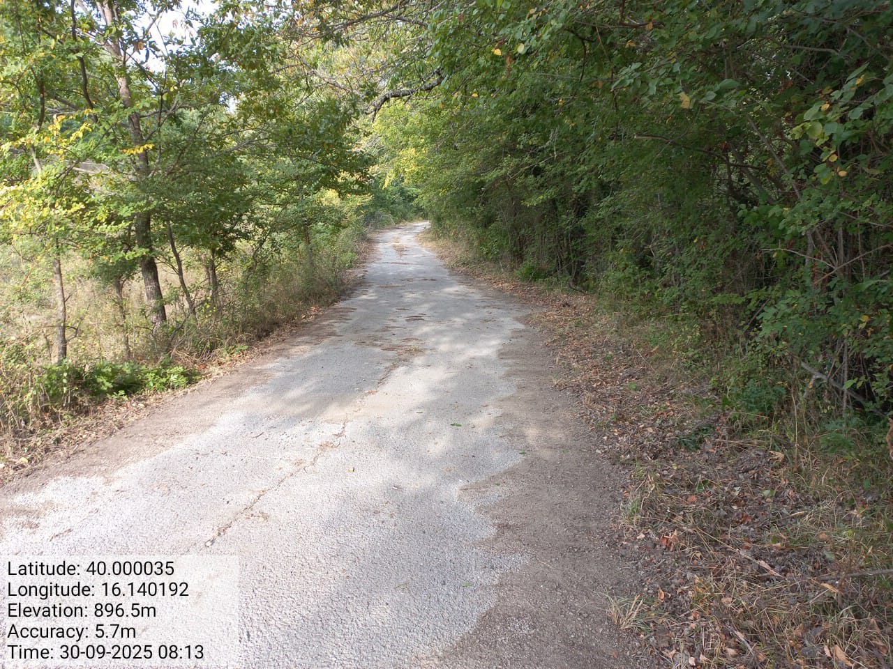 Galleria Fotografica Immagine