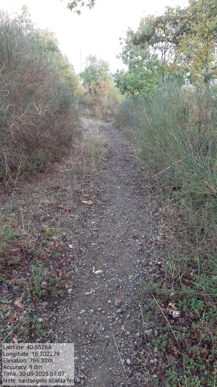 Galleria Fotografica Immagine