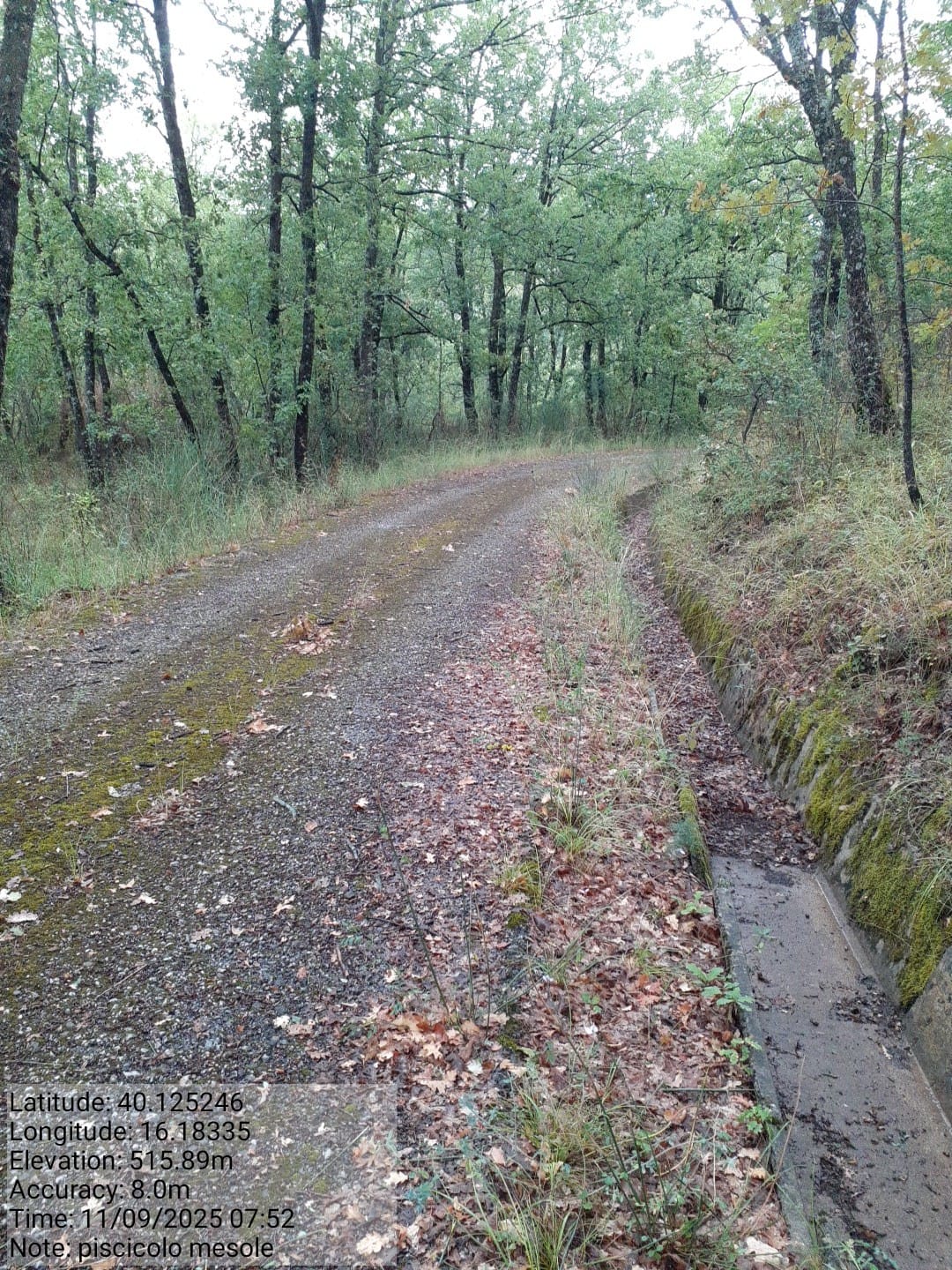 Galleria Fotografica Immagine