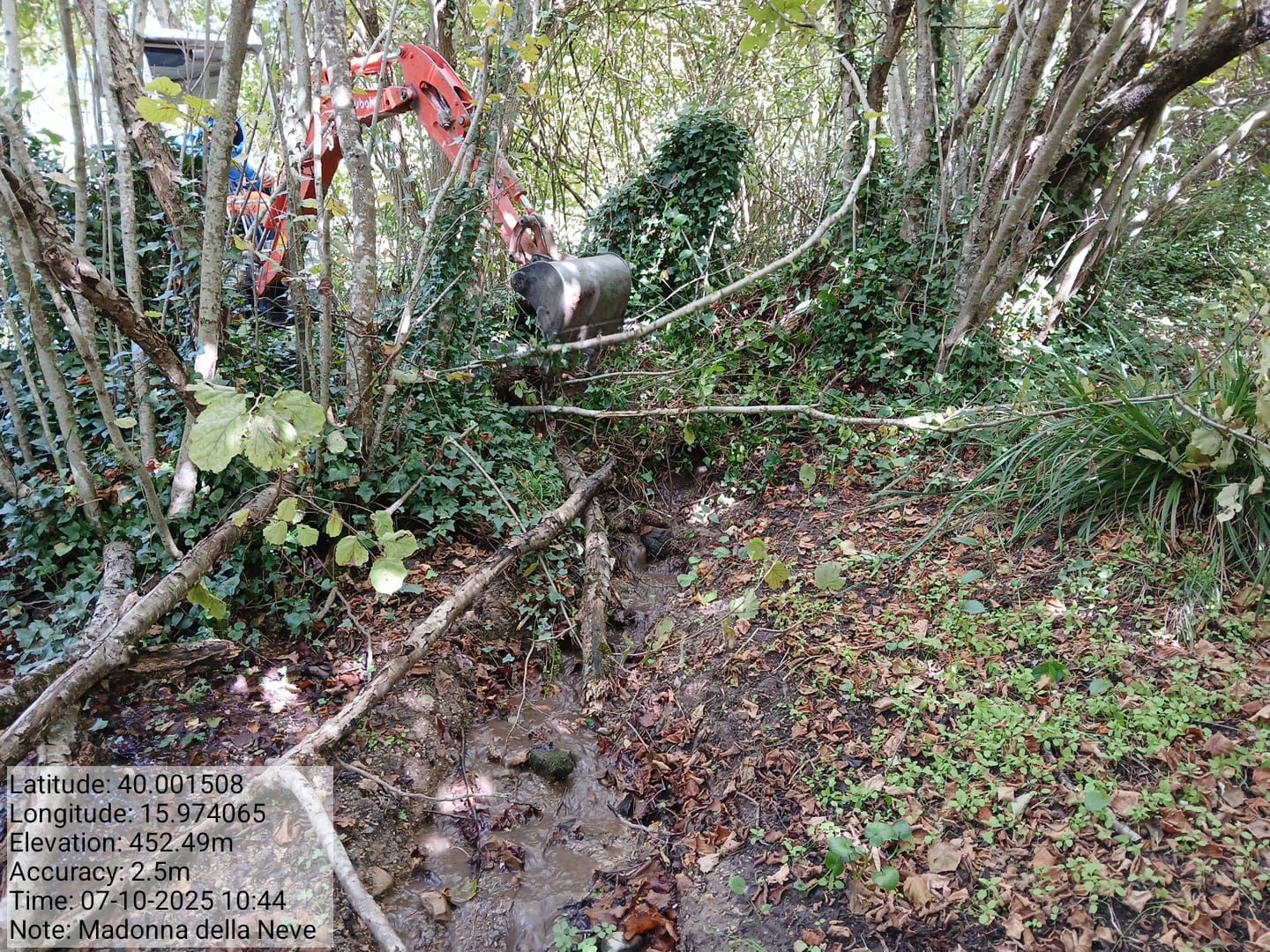 Galleria Fotografica Immagine