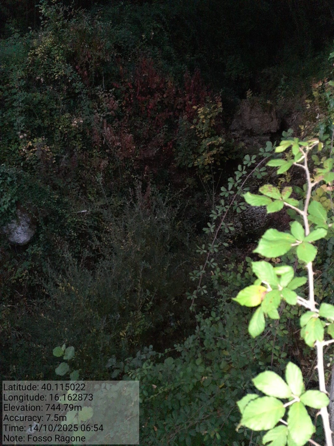 Galleria Fotografica Immagine