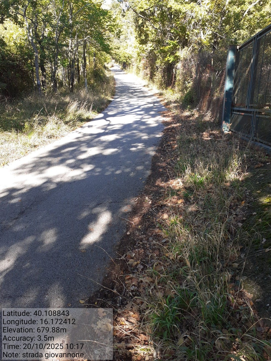 Galleria Fotografica Immagine