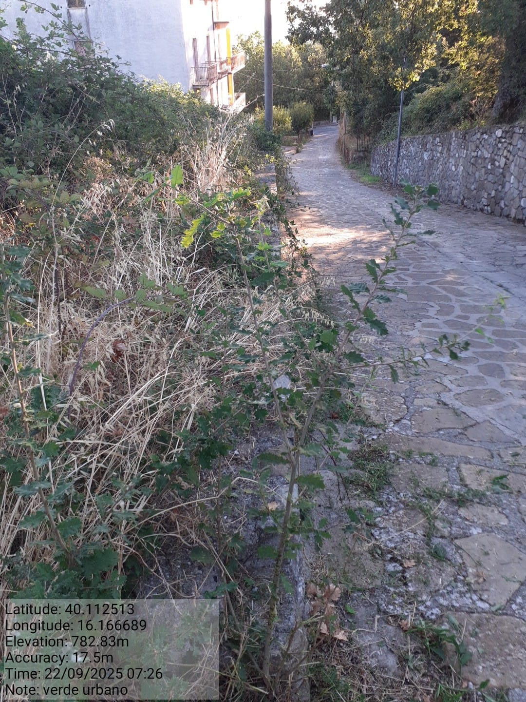 Galleria Fotografica Immagine