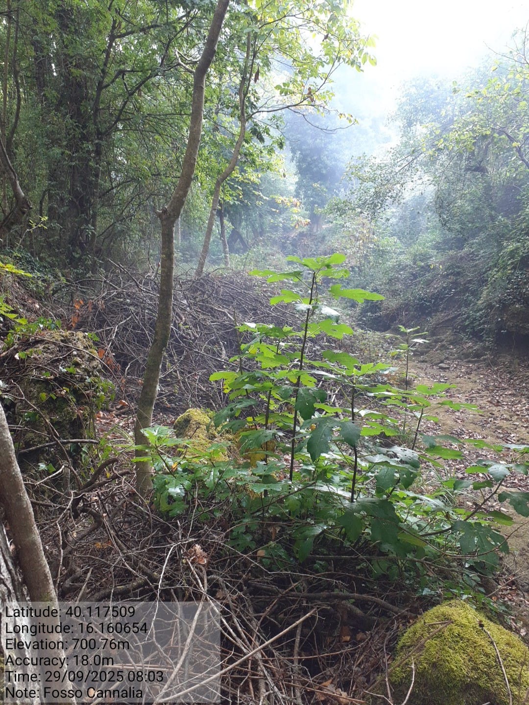 Galleria Fotografica Immagine