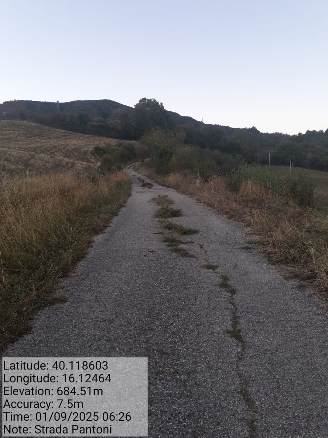 Galleria Fotografica Immagine