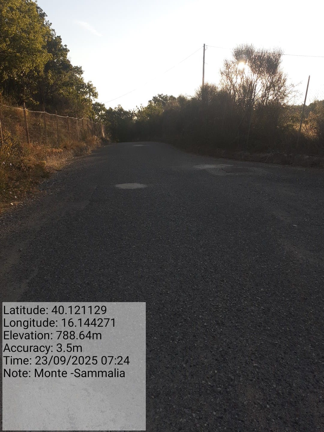 Galleria Fotografica Immagine