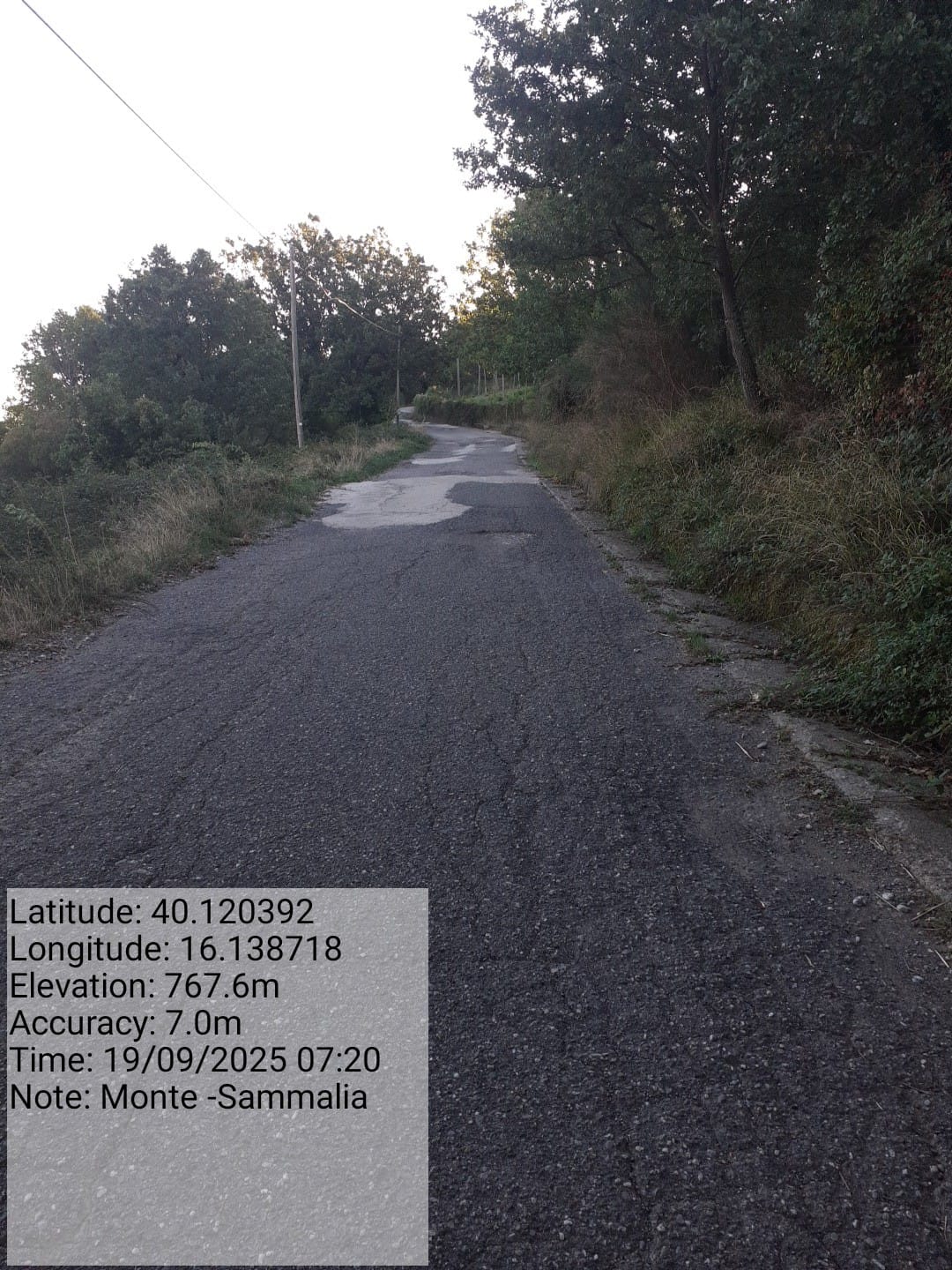 Galleria Fotografica Immagine