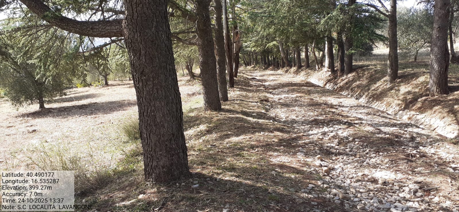 Galleria Fotografica Immagine