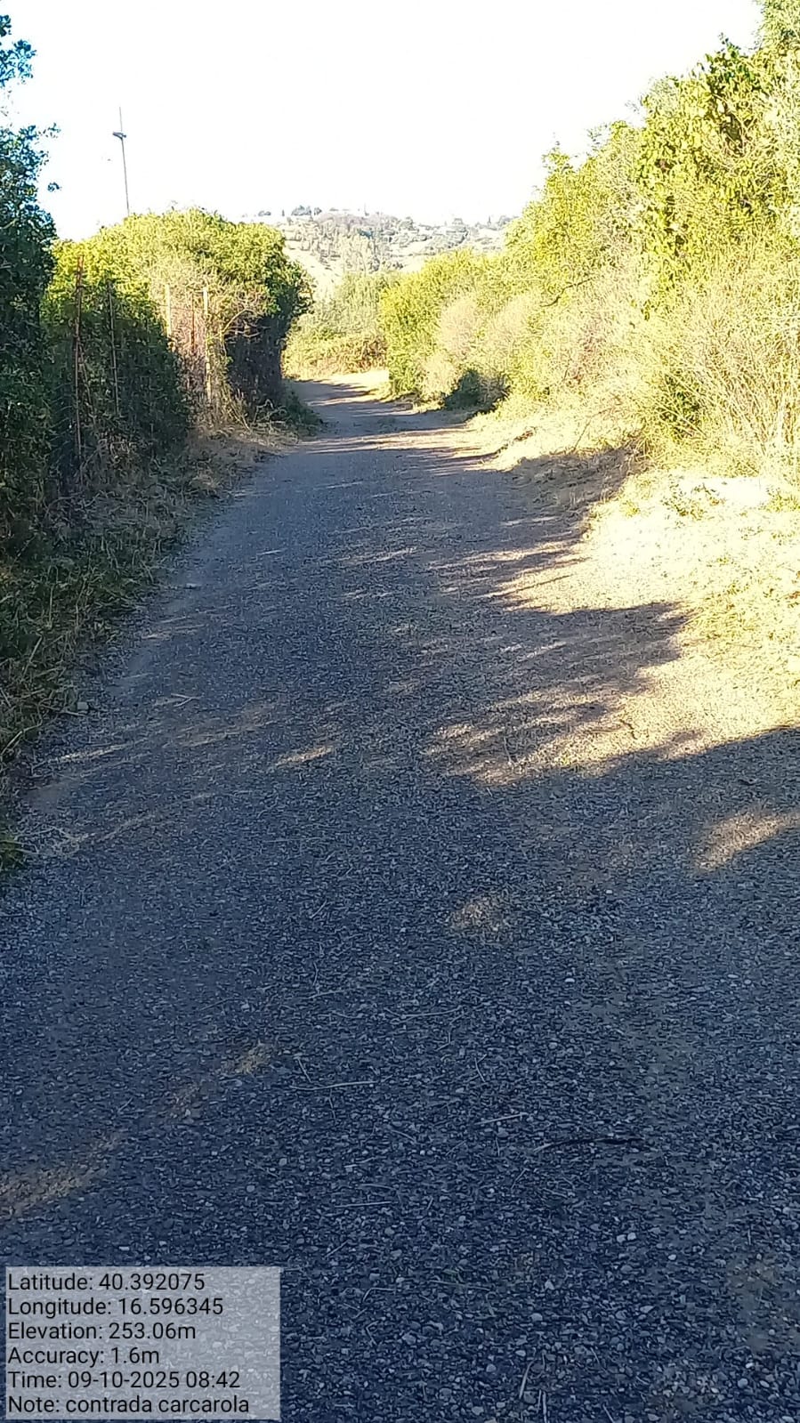 Galleria Fotografica Immagine