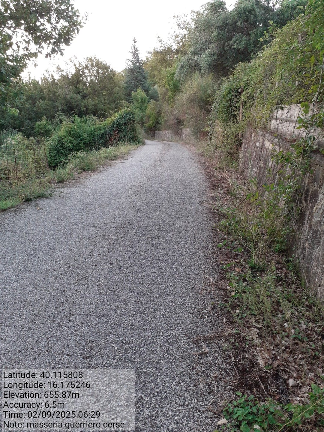 Galleria Fotografica Immagine