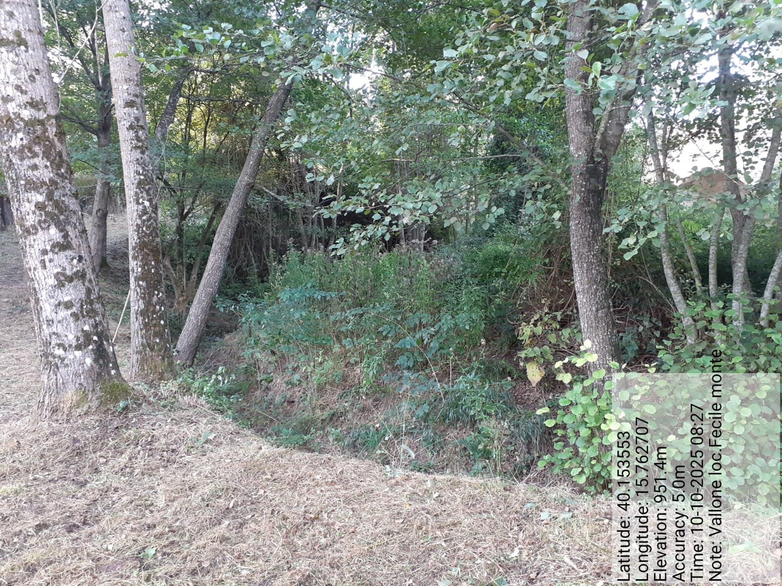 Galleria Fotografica Immagine