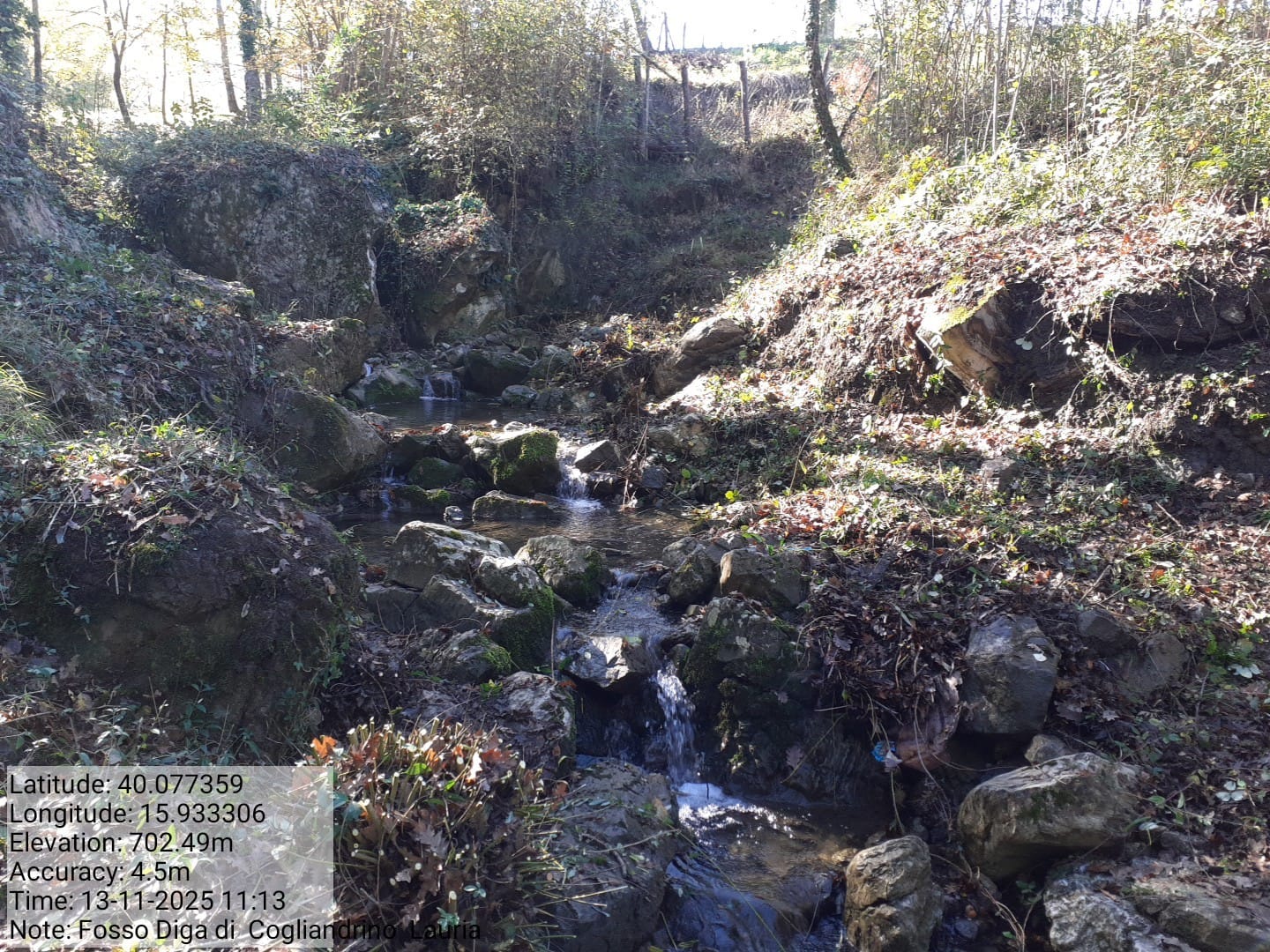 Galleria Fotografica Immagine