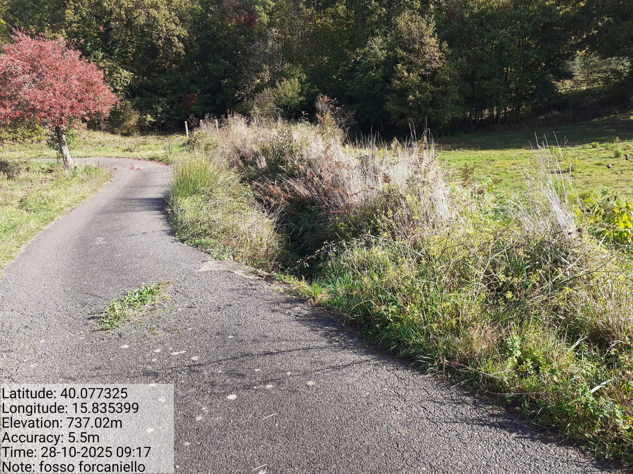 Galleria Fotografica Immagine