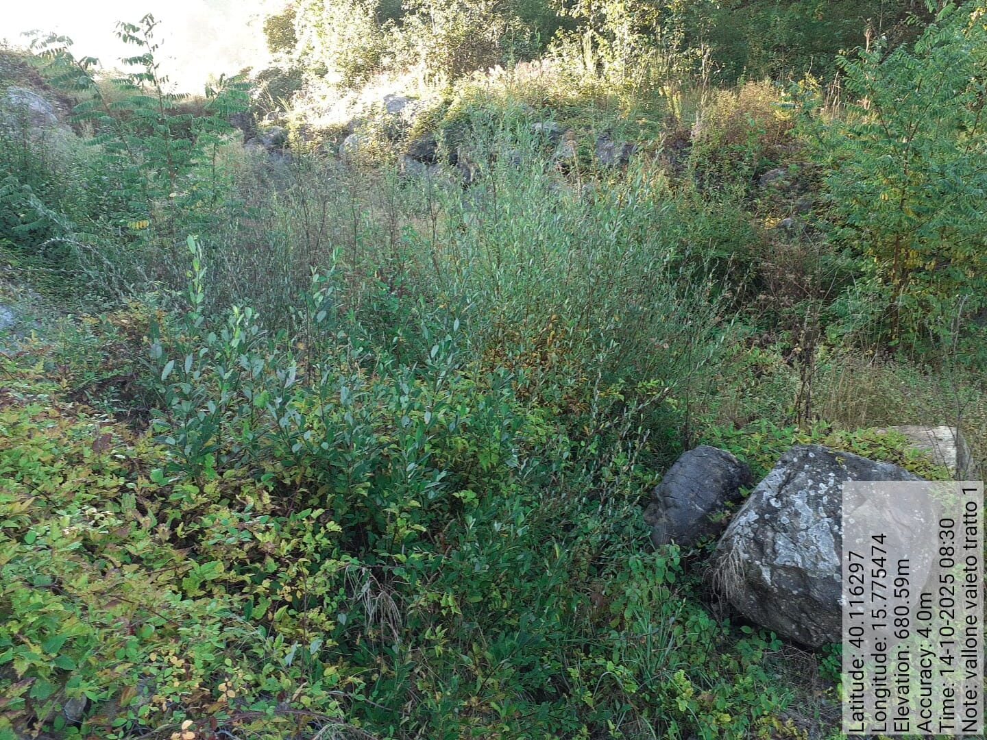 Galleria Fotografica Immagine