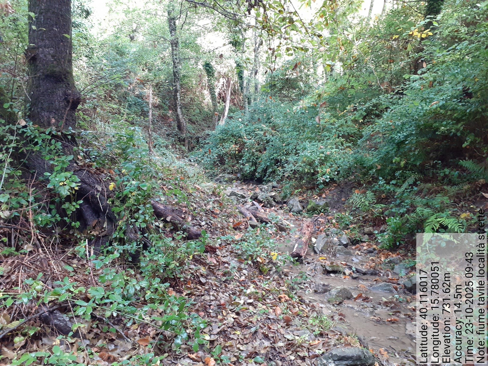 Galleria Fotografica Immagine