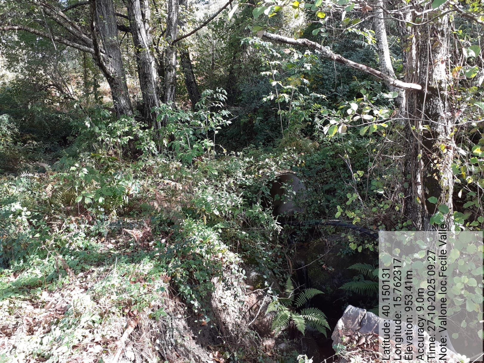 Galleria Fotografica Immagine