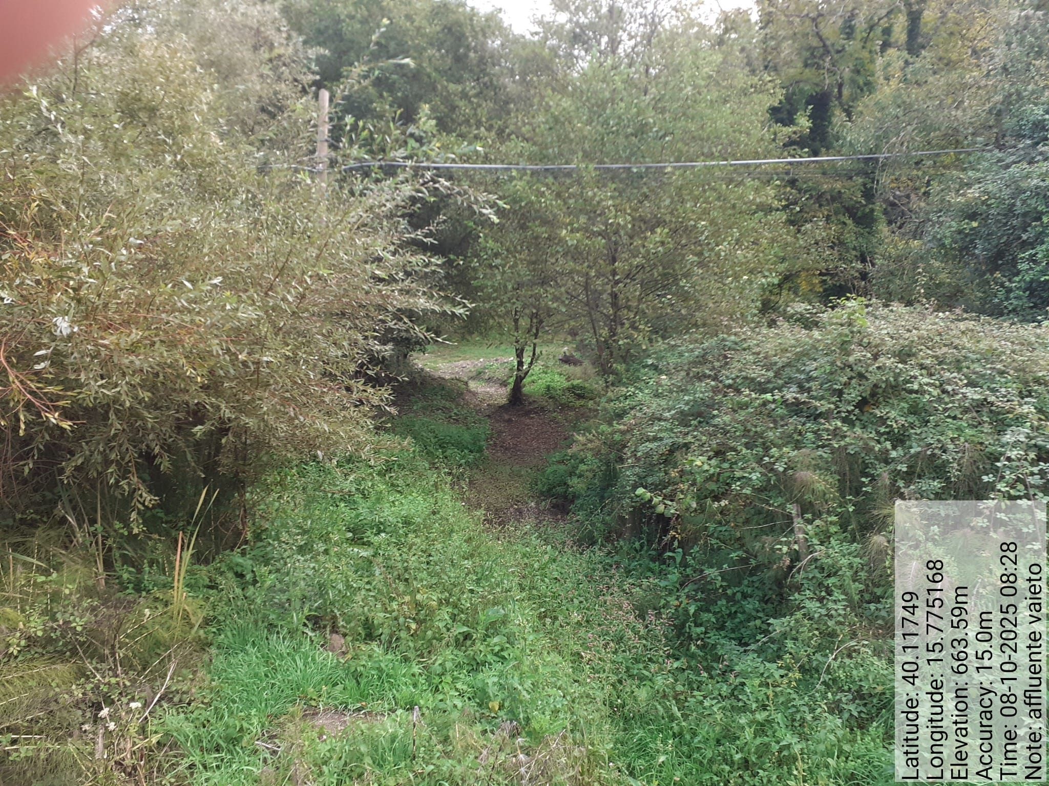 Galleria Fotografica Immagine