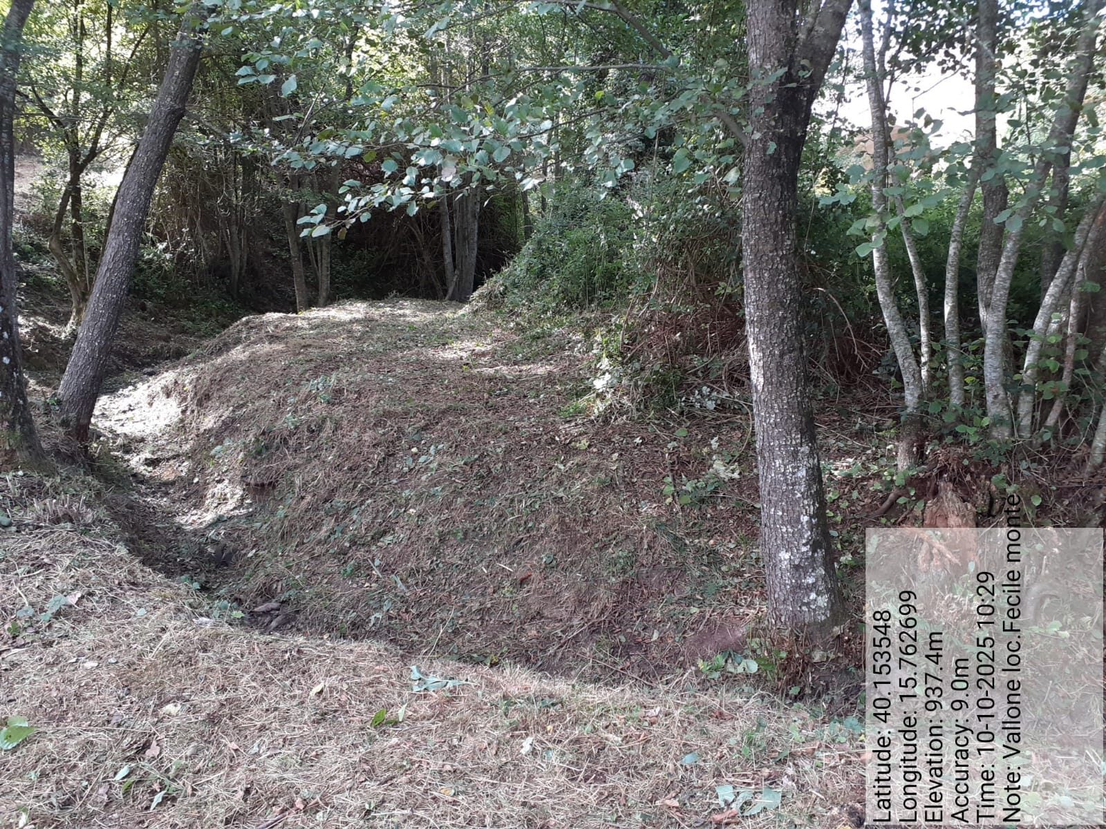 Galleria Fotografica Immagine