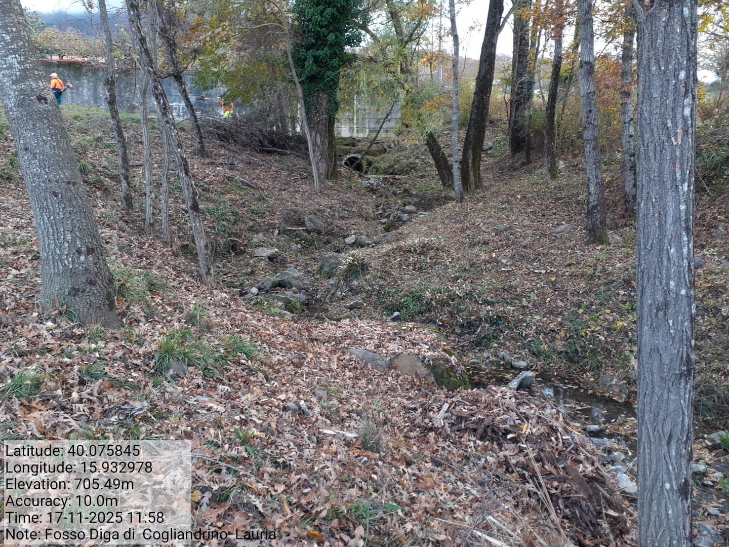 Galleria Fotografica Immagine