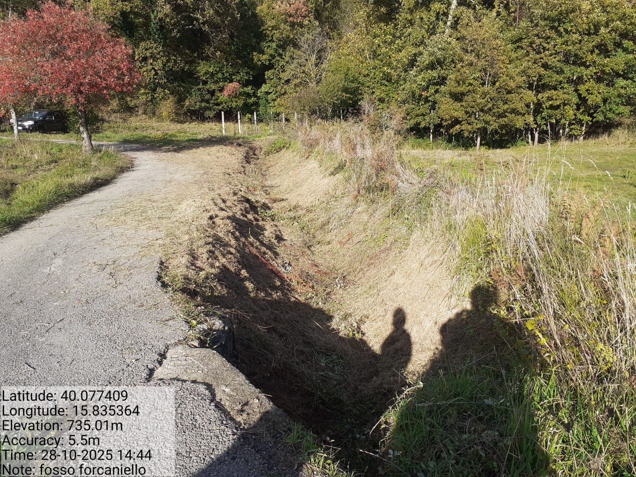 Galleria Fotografica Immagine