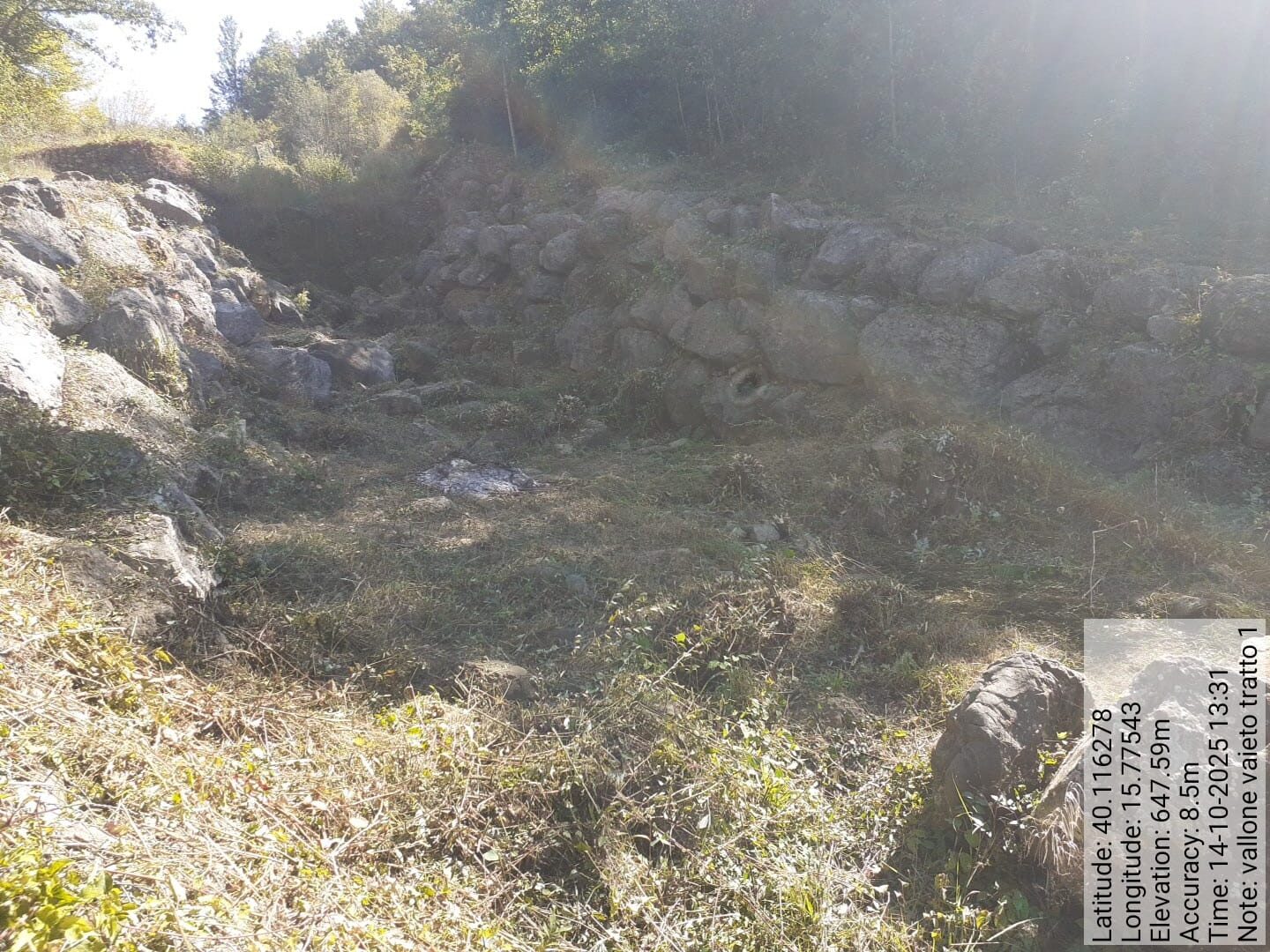 Galleria Fotografica Immagine