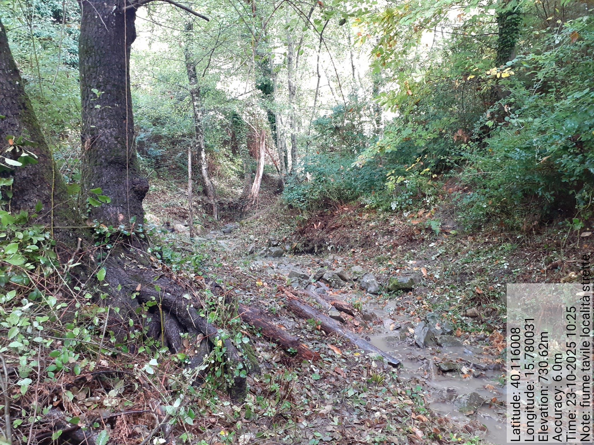 Galleria Fotografica Immagine