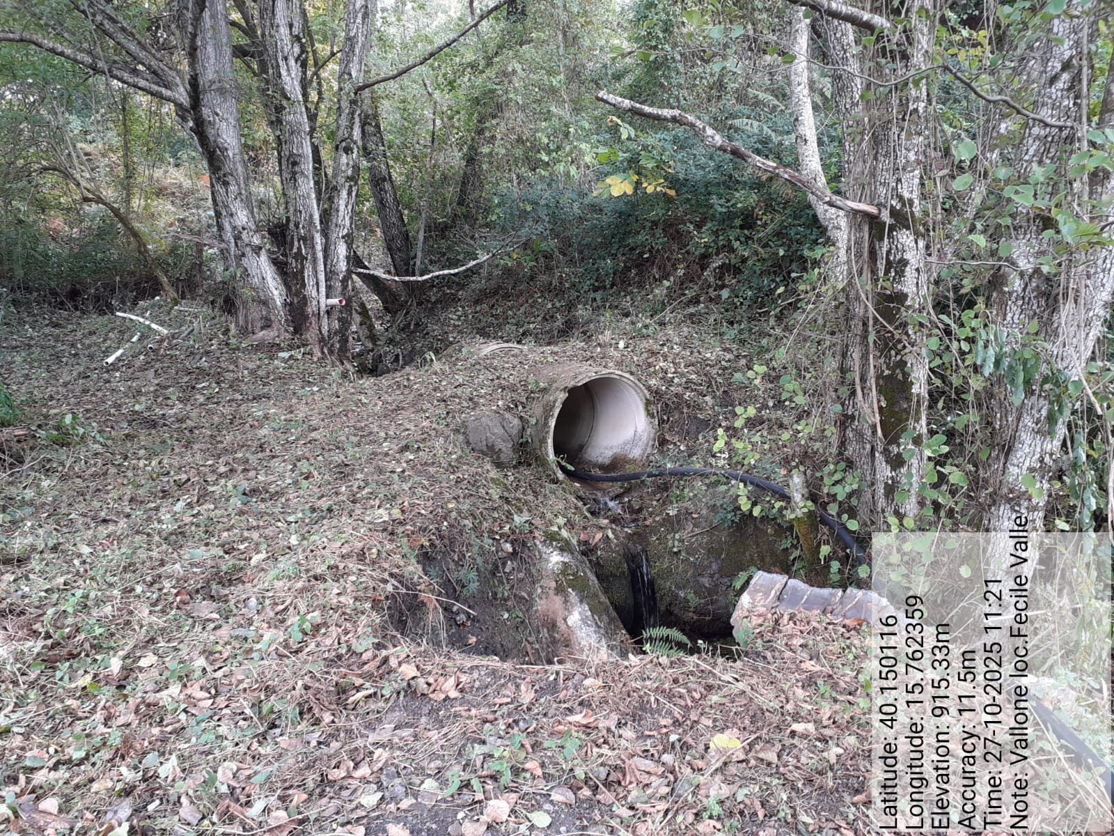 Galleria Fotografica Immagine