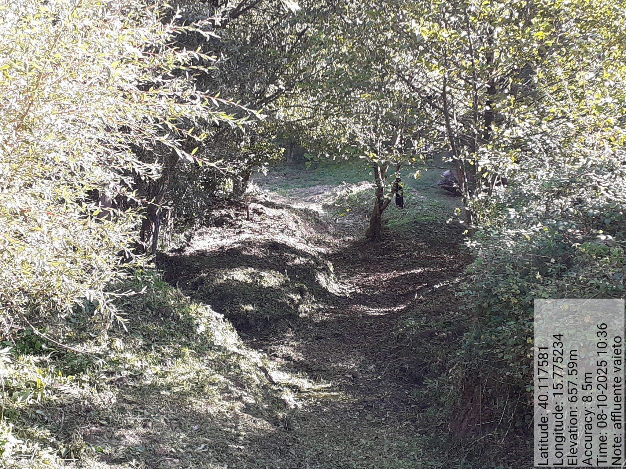 Galleria Fotografica Immagine