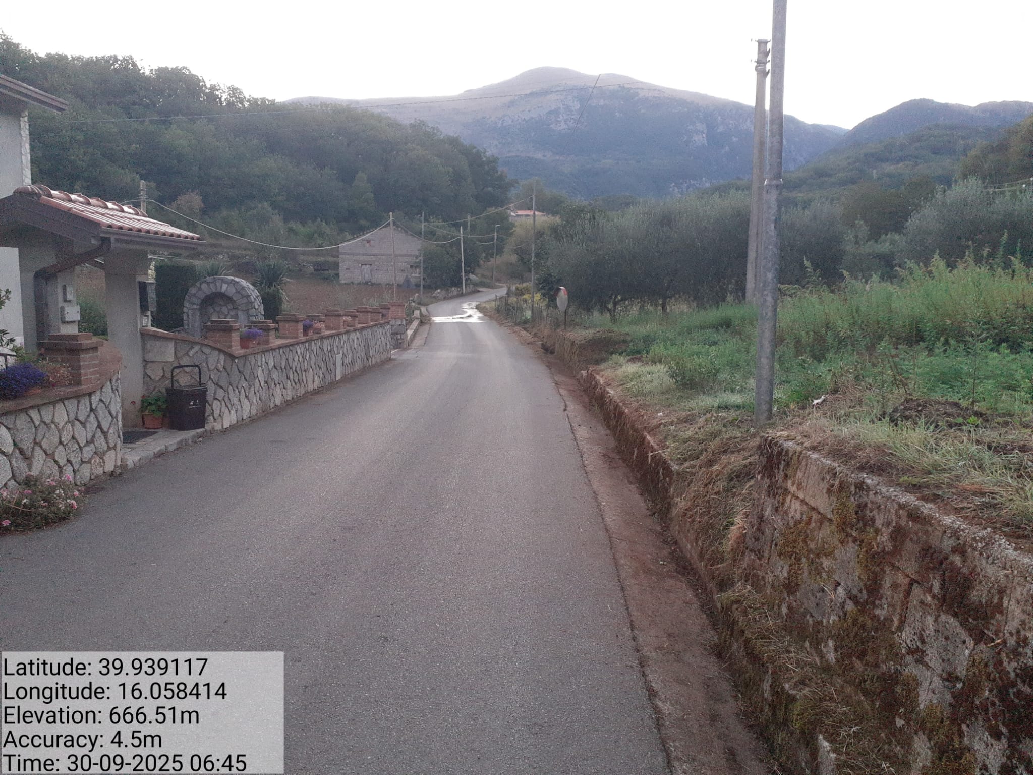 Galleria Fotografica Immagine